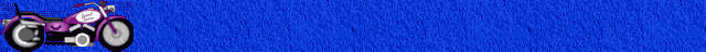 fmrs4opt.gif (40489 bytes)